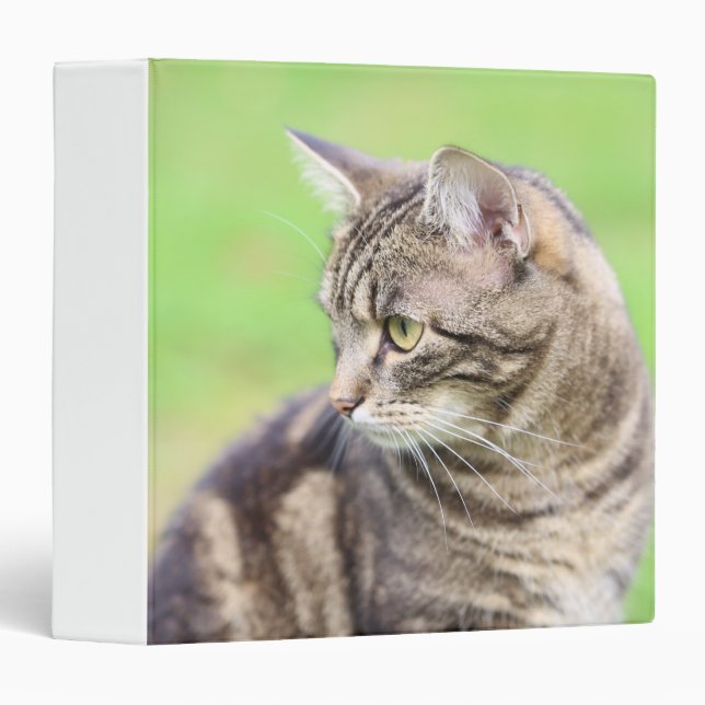 Special Cat  3 Ring Binder (Front/Spine)