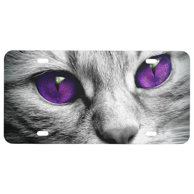 Special Cat with Purple Eyes License Plate (Front)