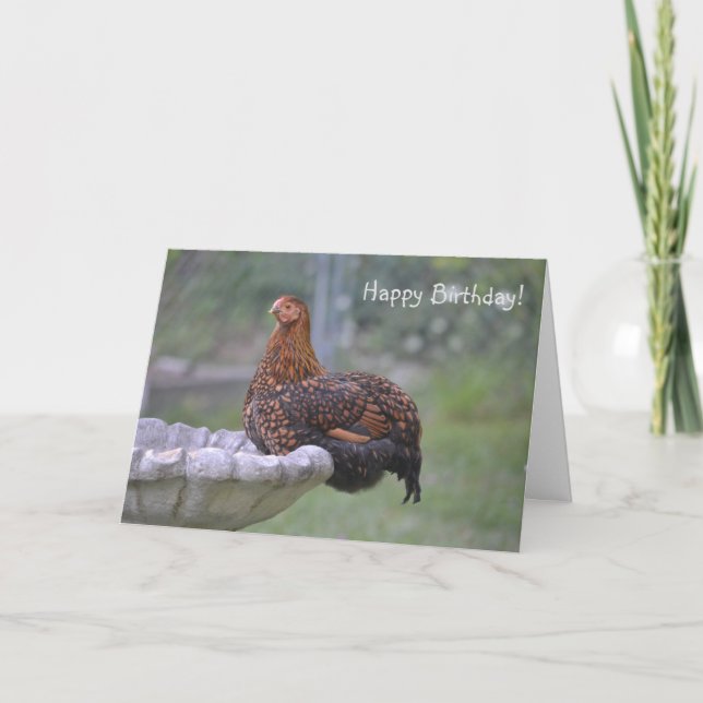 Special Chicken Birthday Card (Front)