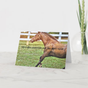 SPECIAL CONNEMARA Greeting Card