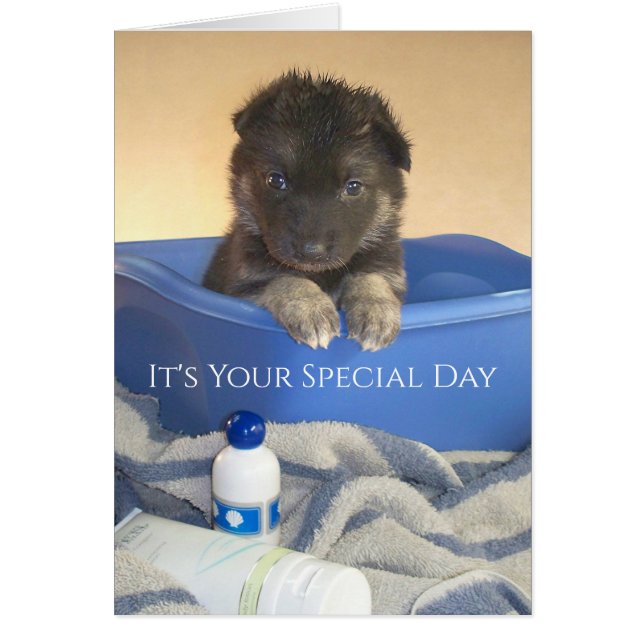 Special Day, Puppies Bath Time Cards (Front)