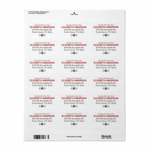 Special Delivery Christmas Address Label