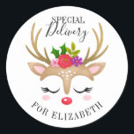 Special Delivery Christmas Cute Reindeer Face Classic Round Sticker<br><div class="desc">A cute reindeer face decorates this sticker with the words Special Delivery. Fun for decorating your girl's Christmas gifts. Personalize it with the name of your choice. Designed for you by Blackberry Boulevard.</div>