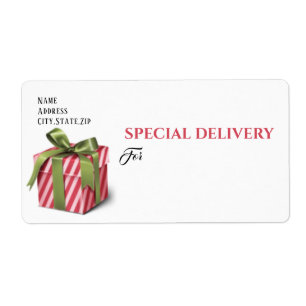 SPECIAL DELIVERY, Christmas Package Editable Label