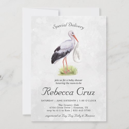 Special Delivery  Elegant Watercolor Stork Baby