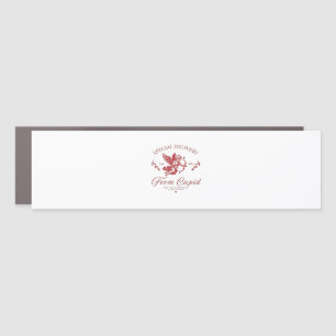 Special Delivery from Cupid Valentine Pregnant Mom Car Magnet