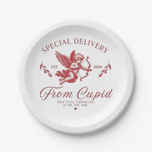 Special Delivery from Cupid Valentine Pregnant Mom Paper Plates