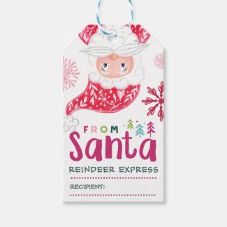 Special Delivery From Santa Claus  | No Peeking Gift Tags