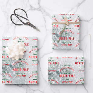 Special Delivery From The North Pole Snowy Icy Wrapping Paper Sheets