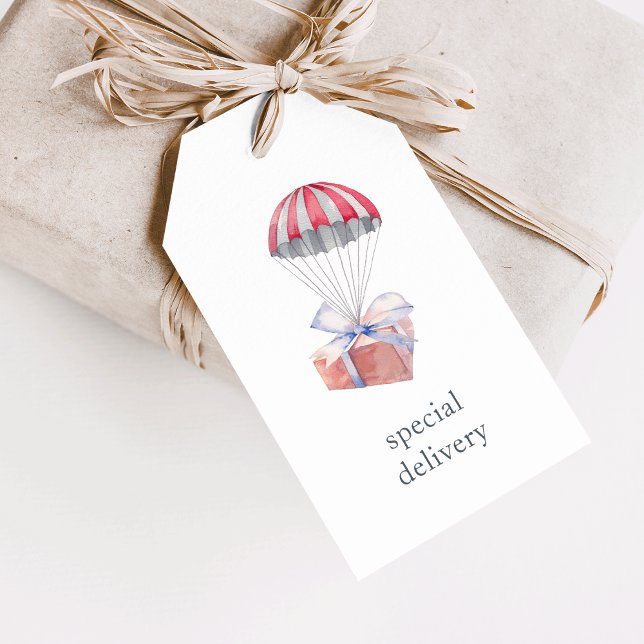 Special Delivery Gift Tags (Creator Uploaded)