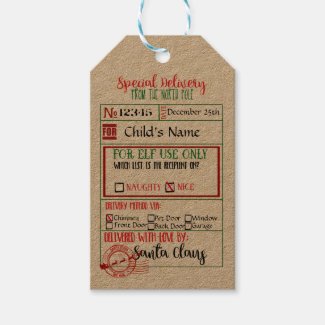 Special Delivery - Gift Tags from Santa - North