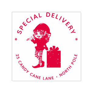 Special Delivery North Pole Elf Christmas Gift Self-inking Stamp