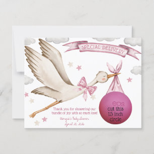 Special Delivery! Pink Stork EOS Lip Balm Favor Invitation
