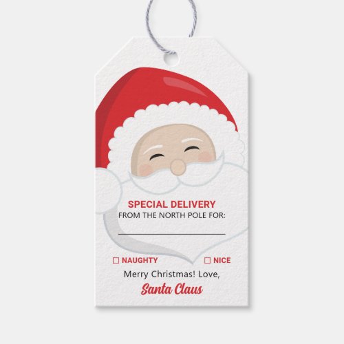 Special Delivery Santa Claus Christmas Gift Tags