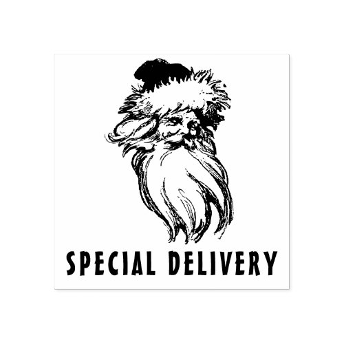 special delivery Santa Rubber Stamp