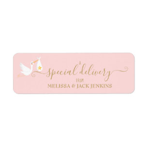Special Delivery Stork Baby Pink Return Address Label
