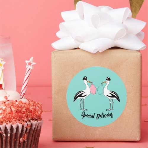 Special Delivery Stork Baby Reveal Sprinkle Party Classic Round Sticker