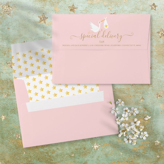 Special Delivery Stork Baby Shower Sprinkle Pink Envelope (Creator Uploaded)