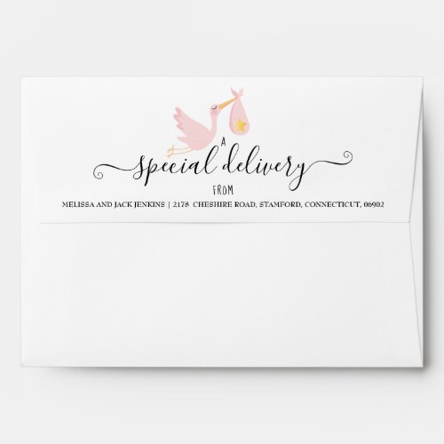 Special Delivery Stork Baby Shower Sprinkle Pink Envelope