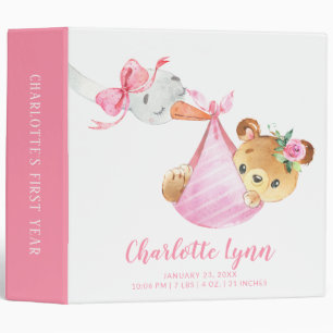 Special Delivery Stork Bear Baby Photo Album 3 Ring Binder