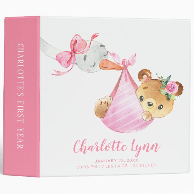 Special Delivery Stork Bear Baby Photo Album 3 Ring Binder (Front/Spine)