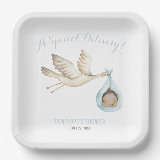 Special Delivery Stork Blue Baby Boy Baby Shower Paper Plates (Front)