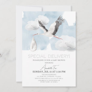 Special Delivery Stork Boy Baby Shower Invitation