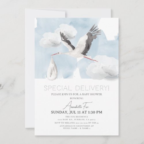 Special Delivery Stork Boy Baby Shower Invitation
