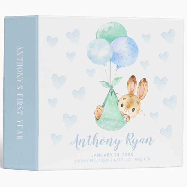 Special Delivery Stork Bunny Baby Photo Album 3 Ring Binder (Front/Spine)