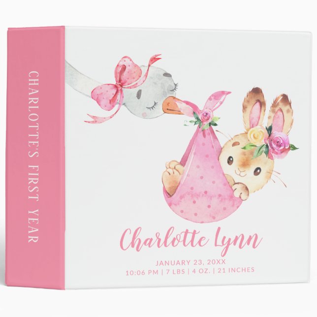 Special Delivery Stork Bunny Baby Photo Album 3 Ring Binder (Front/Spine)