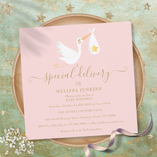 Special Delivery Stork Pink Baby Shower Sprinkle Invitation