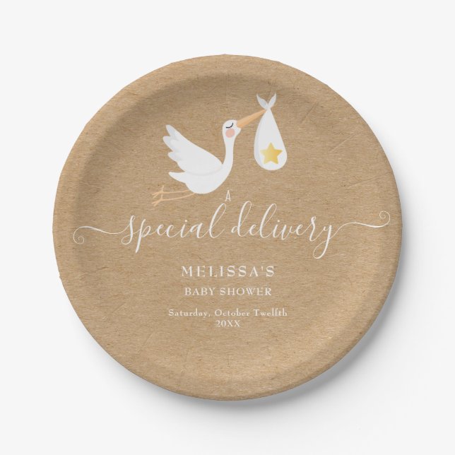 Special Delivery Stork Star Baby Shower Rustic Paper Plates (Front)