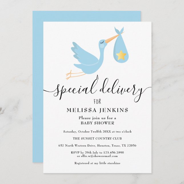 Special Delivery Stork Star Baby Shower Sprinkle Invitation (Front/Back)