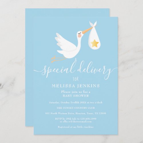 Special Delivery Stork Star Baby Shower Sprinkle Invitation