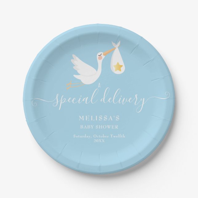 Special Delivery Stork Star Baby Shower Sprinkle Paper Plates (Front)