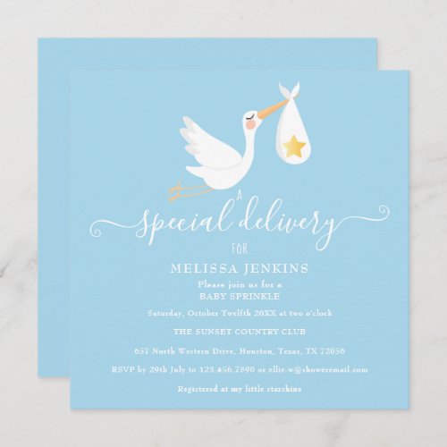 Special Delivery Stork Star Baby Sprinkle Shower Invitation