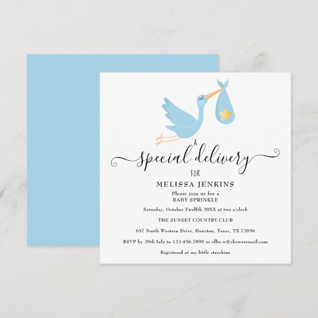 Special Delivery  Stork Star Baby Sprinkle Shower Invitation (Front/Back)