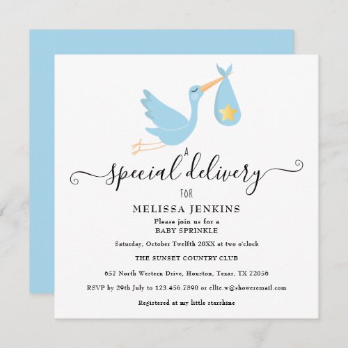 Special Delivery  Stork Star Baby Sprinkle Shower Invitation