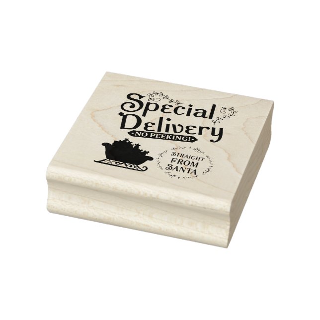 Special Delivery Straight from Santa Rubber Stamp (Stamp)