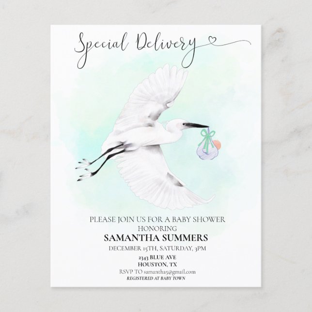 Special Delivery Watercolor Stork Baby shower  (Front)
