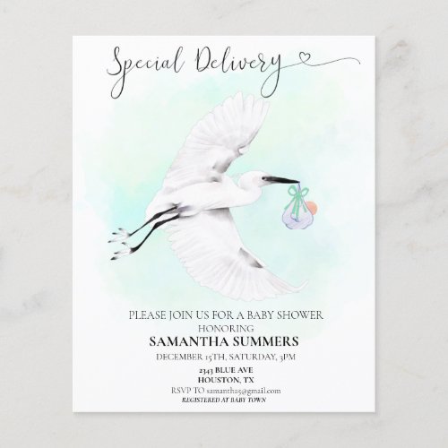 Special Delivery Watercolor Stork Baby shower 