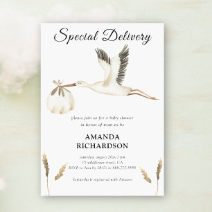Special Delivery Watercolor Stork Baby Shower Invitation