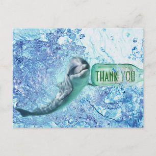Special Dolphin Water Thank You Postcart Postcard