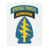 Special Forces insignia Airborne Tab