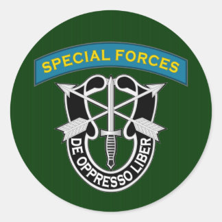 Special Forces ST2 Classic Round Sticker