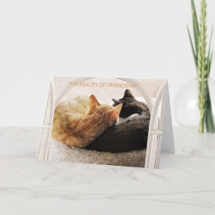 SPECIAL FRIEND HAPPY BIRTHDAY CARD