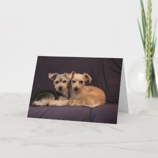 Special Friendship Greeting Card