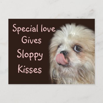 Special Love Postcard by deemac1 at Zazzle