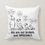 Special need birds pillow