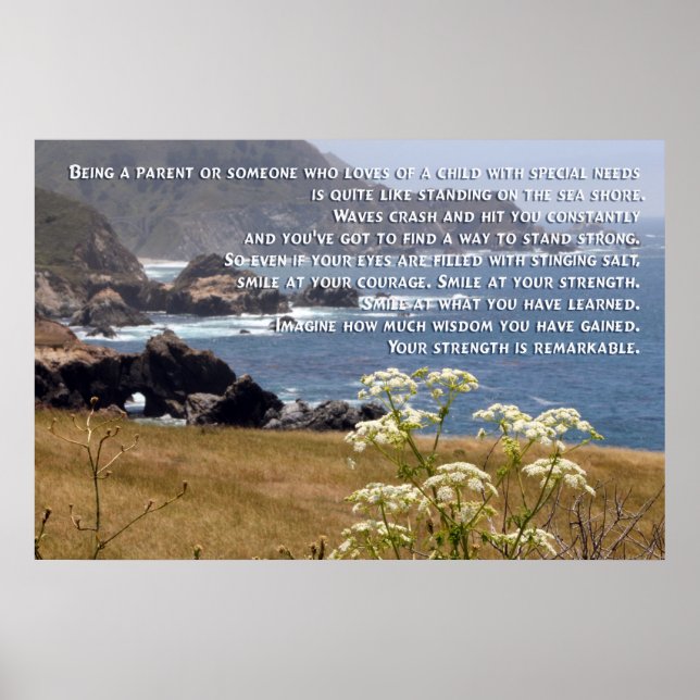 Special Need Parenting Poster (Front)